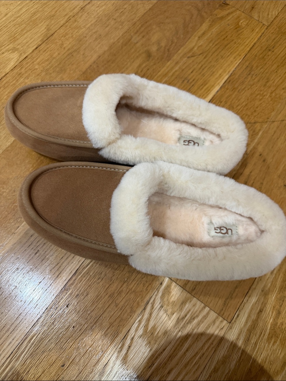 UGG Women's Chestnut Suede Slipper with Cream Sheepskin Collar